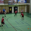 halwb1 17